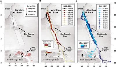 Frontiers | Multi-Decadal Humpback Whale Migratory Route Fidelity